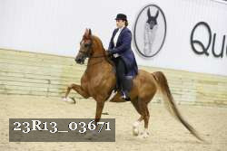 23R13_03671 thumbnail