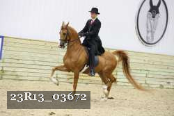 23R13_03672 thumbnail
