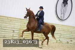23R13_03673 thumbnail
