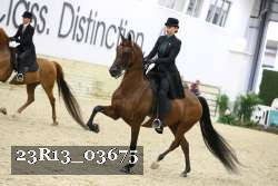 23R13_03675 thumbnail