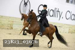 23R13_03676 thumbnail