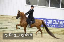23R13_03678 thumbnail