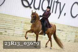 23R13_03679 thumbnail