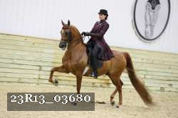 23R13_03680 thumbnail
