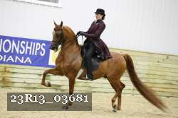 23R13_03681 thumbnail