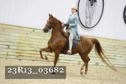 23R13_03682 thumbnail