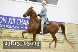 23R13_03683 thumbnail