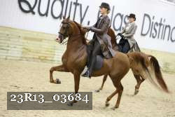 23R13_03684 thumbnail