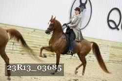 23R13_03685 thumbnail
