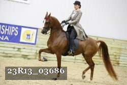 23R13_03686 thumbnail