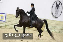 23R13_03687 thumbnail