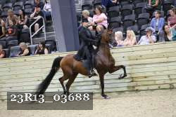 23R13_03688 thumbnail