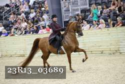 23R13_03689 thumbnail