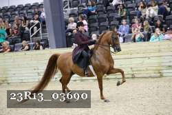 23R13_03690 thumbnail