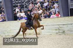 23R13_03691 thumbnail