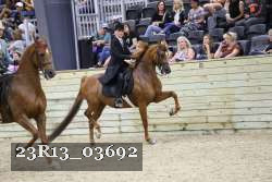 23R13_03692 thumbnail