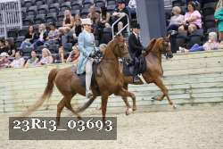 23R13_03693 thumbnail