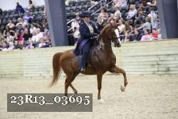 23R13_03695 thumbnail