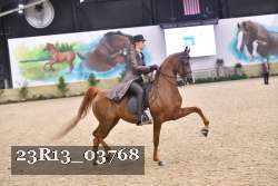 23R13_03768 thumbnail