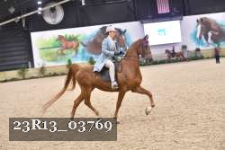23R13_03769 thumbnail