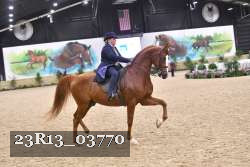 23R13_03770 thumbnail