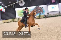 23R13_03771 thumbnail