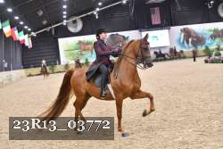 23R13_03772 thumbnail
