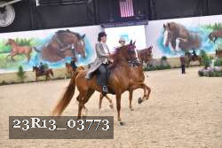 23R13_03773 thumbnail