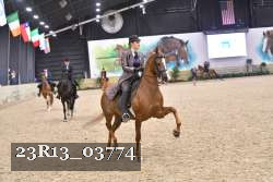 23R13_03774 thumbnail