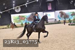 23R13_03775 thumbnail