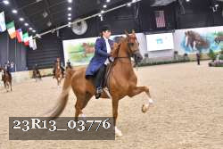23R13_03776 thumbnail
