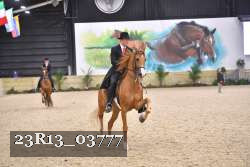 23R13_03777 thumbnail