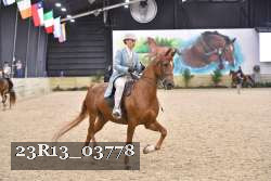 23R13_03778 thumbnail