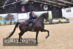 23R13_03779 thumbnail