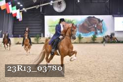 23R13_03780 thumbnail