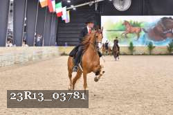 23R13_03781 thumbnail
