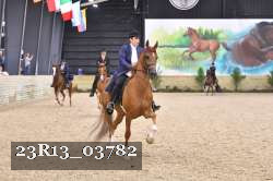 23R13_03782 thumbnail