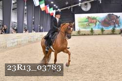 23R13_03783 thumbnail