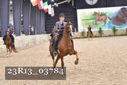 23R13_03784 thumbnail