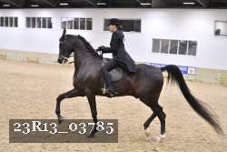 23R13_03785 thumbnail