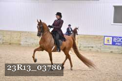 23R13_03786 thumbnail