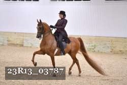 23R13_03787 thumbnail