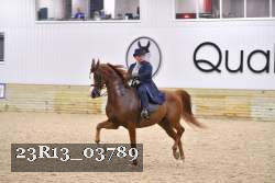 23R13_03789 thumbnail