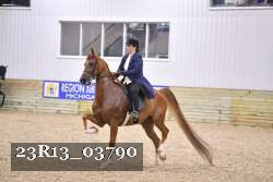 23R13_03790 thumbnail