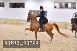 23R13_03792 thumbnail