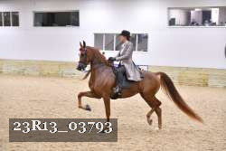 23R13_03793 thumbnail