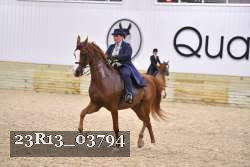 23R13_03794 thumbnail