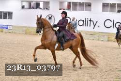 23R13_03797 thumbnail