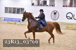 23R13_03799 thumbnail