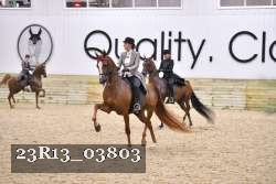 23R13_03803 thumbnail